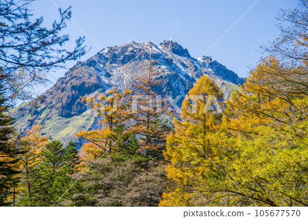 [Autumn Kamikochi] Mt. Yakedake and Ochiba Pine 105677570