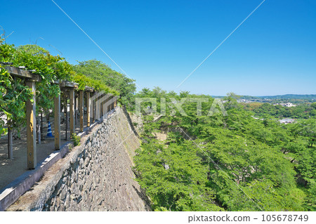 [View from Tsuyama Castle Ruins (Tsuruyama Park)] Yamashita, Tsuyama City, Okayama Prefecture 105678749