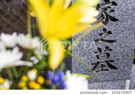 墳墓與鮮花 墳墓與鮮花 105678907