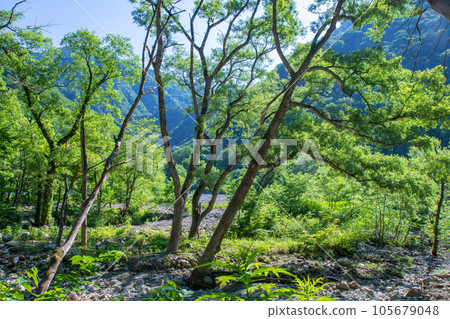 水上町由比曾川由吹瀑布上游 水上町由比曾川由吹瀑布上游 105679048