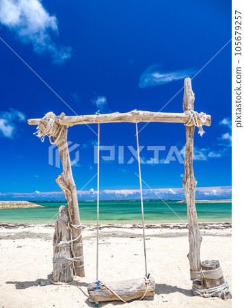 driftwood swing and sea 105679257