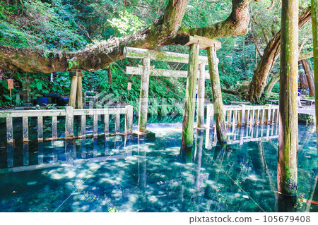 御手洗池和神樹1 御手洗池和神樹1 105679408