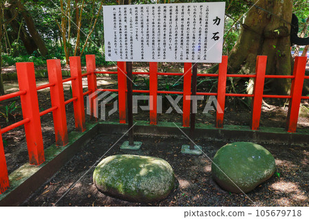 Ikusu Shrine Chikaraishi 105679718