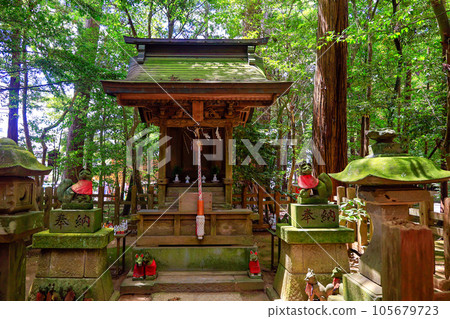 Inari company 105679723