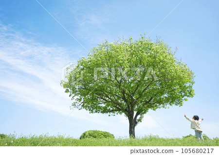 A child standing on a grassy plain with a single tree Clean energy, environmental problems, ecology, and global warming image 105680217