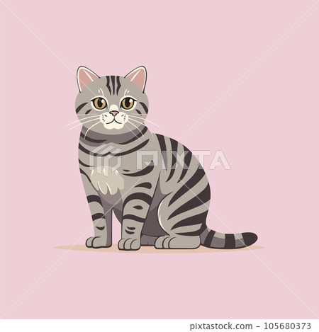 Walking Cat, A Feline on the Move 105680373