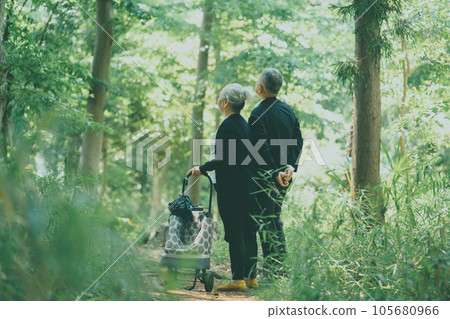 senior, husband and wife, back view 105680966