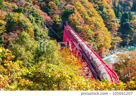 秋天的黑部峽谷：新山彥橋上行駛的小火車 105681207