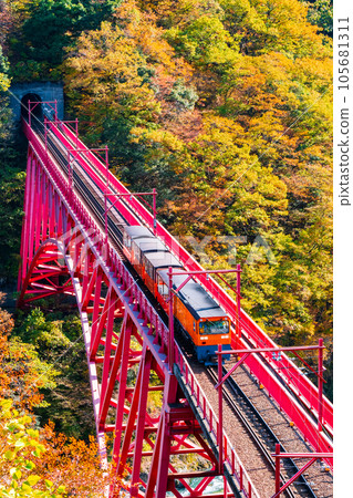 Kurobe Gorge in Autumn: Torokko Train Running on Shinyamabiko Bridge Kurobe Gorge in Autumn: Torokko Train Running on Shinyamabiko Bridge 105681311