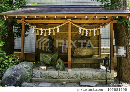 田無神社,東京,青龍神和楠正成,五龍神的能量點 田無神社,東京,青龍神和楠正成,五龍神的能量點 105681396