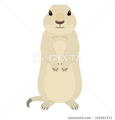 Prairie dog illustration Prairie dog illustration 105681411