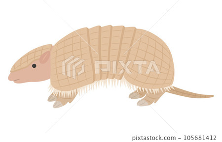 犰狳的插圖 105681412
