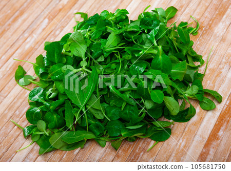 Heap of green fresh arugula leaf and canonigo or mache Heap of green fresh arugula leaf and canonigo or mache 105681750
