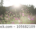 夕陽照亮的山中的宇宙 105682109