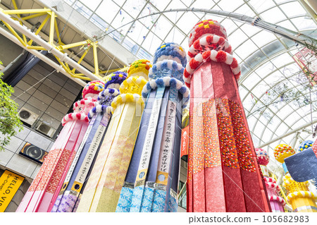 夏季仙台 仙台七夕節 2023 宮城縣仙台市 105682983