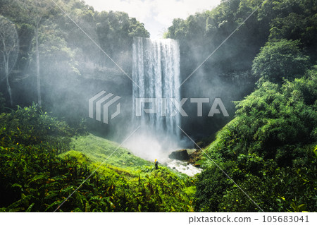 Waterfall in the forest in bolaven plateau Laos Waterfall in the forest in bolaven plateau Laos 105683041