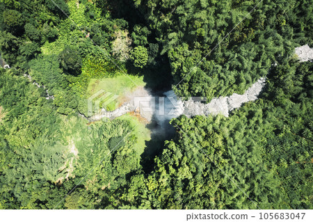 Waterfall in the forest in bolaven plateau Laos 105683047