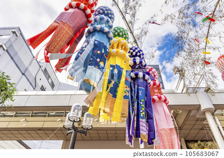 Summer Sendai Sendai Tanabata Festival 2023 Sendai City, Miyagi Prefecture Summer Sendai Sendai Tanabata Festival 2023 Sendai City, Miyagi Prefecture 105683067