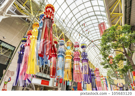 Summer Sendai Sendai Tanabata Festival 2023 Sendai City, Miyagi Prefecture 105683120