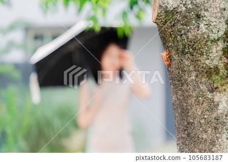 蟬殼,仲夏形象 蟬殼,仲夏形象 105683187