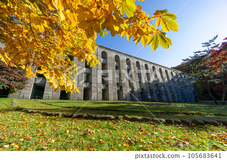 Sasanaru Dam in refreshing autumn 105683641