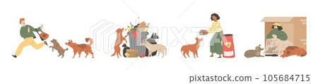 Set of scenes with stray dogs flat style, vector illustration 105684715
