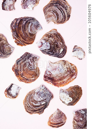Textured seashells on pink. Poster, decor interior. Textured seashells on pink. Poster, decor interior. 105684976