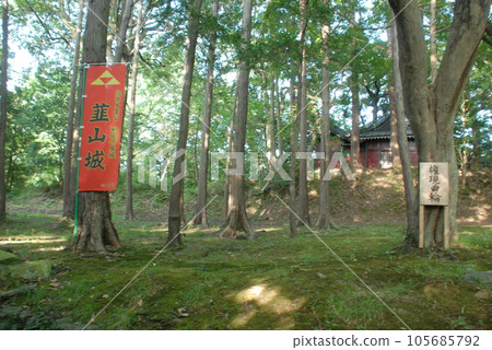 Nirayama Castle Gongen Kuruwa Ruins (Izunokuni City, Shizuoka Prefecture) 105685792