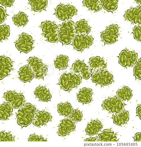 Vector Cannabis Flowers Seamless Pattern Vector Cannabis Flowers Seamless Pattern 105685805