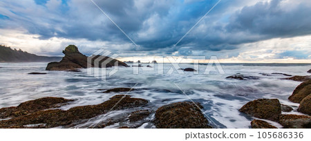 Rocky shore on Pacific Ocean West Coast. Washington, USA. 105686336