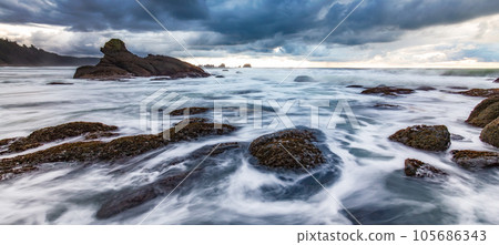 Rocky shore on Pacific Ocean West Coast. Washington, USA. 105686343