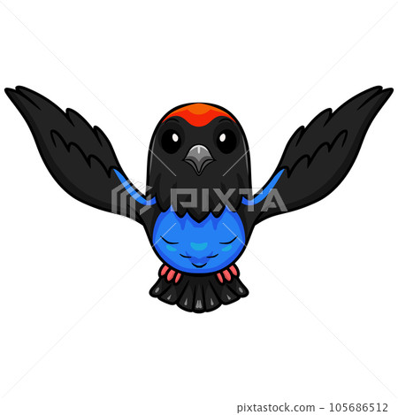 Cute blue manakin bird cartoon Cute blue manakin bird cartoon 105686512