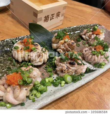 烤樺木 105686584