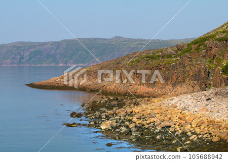coast of the Barents Sea big round stones 105688942