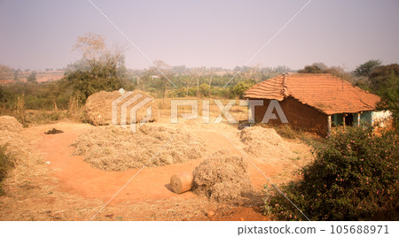 Poor Indian household (farm). Andhra Pradesh, Anantapur 105688971