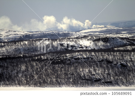 Mountain tundra of Lapland in spring. Snow-covered expanse and birch elfin Mountain tundra of Lapland in spring. Snow-covered expanse and birch elfin 105689091