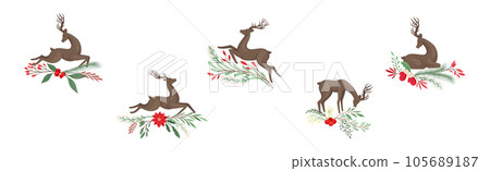 Young Brown Deer with Antlers and Winter Twigs Vector Set 105689187