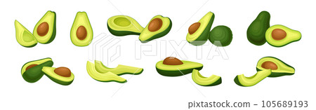 Avocado or Alligator Pear as Large Edible Berry with Seed Vector Set 105689193