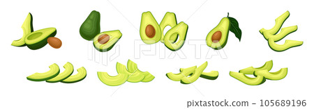 Avocado or Alligator Pear as Large Edible Berry with Seed Vector Set 105689196