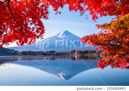 【山梨縣、富士山、河口湖】11月顛倒的富士山和紅葉一起 105689465