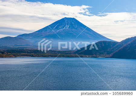 [Yamanashi Prefecture/Mt. Fuji/Lake Motosu] Autumn in Japan with Mt. Fuji and autumn leaves in November 105689960