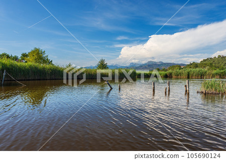 Massaciuccoli Lake and Apuan Alps - Tuscany Italy Europe Massaciuccoli Lake and Apuan Alps - Tuscany Italy Europe 105690124