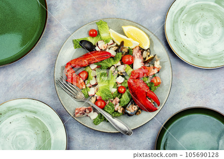 Lobster salad on the white plate , top view Lobster salad on the white plate , top view 105690128