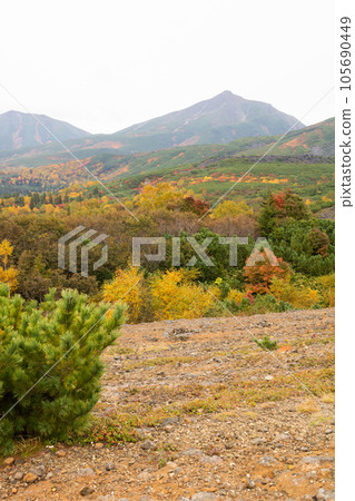 秋天的高原和山脈 秋天的高原和山脈 105690449