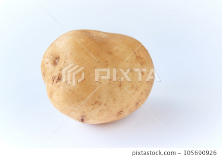 1 potato (white background) 1 potato (white background) 105690926