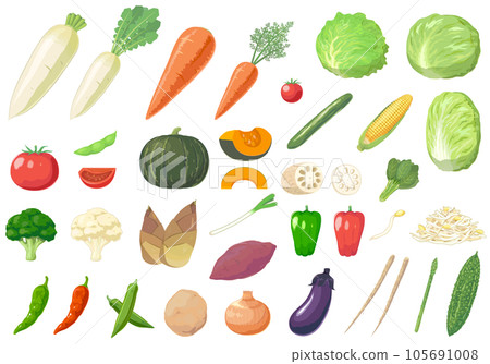 Vegetable set illustration Vegetable set illustration 105691008