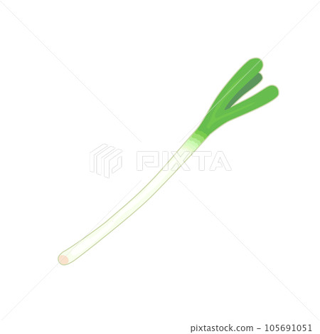 Onigiri的例證 Onigiri的例證 105691051