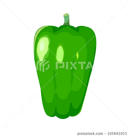 Illustration of green peppers Illustration of green peppers 105691053
