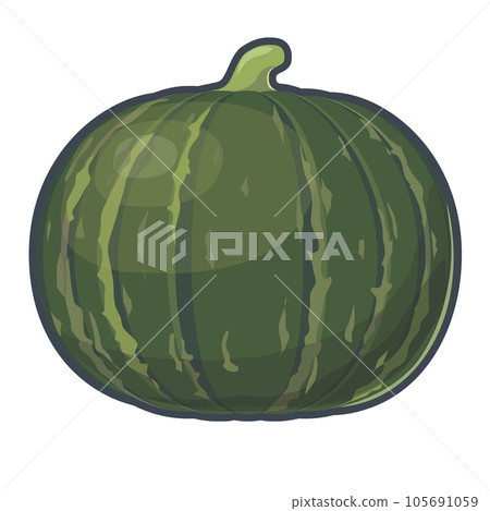 Pumpkin illustrations 105691059