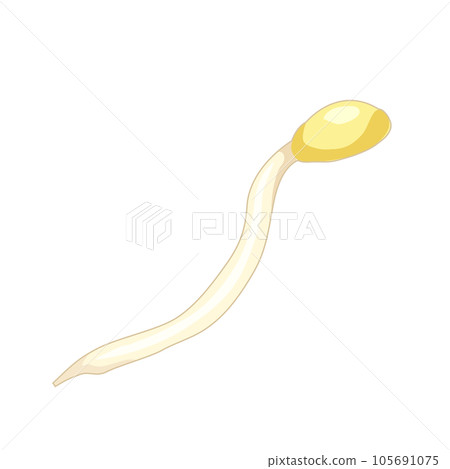 豆芽的插圖 105691075
